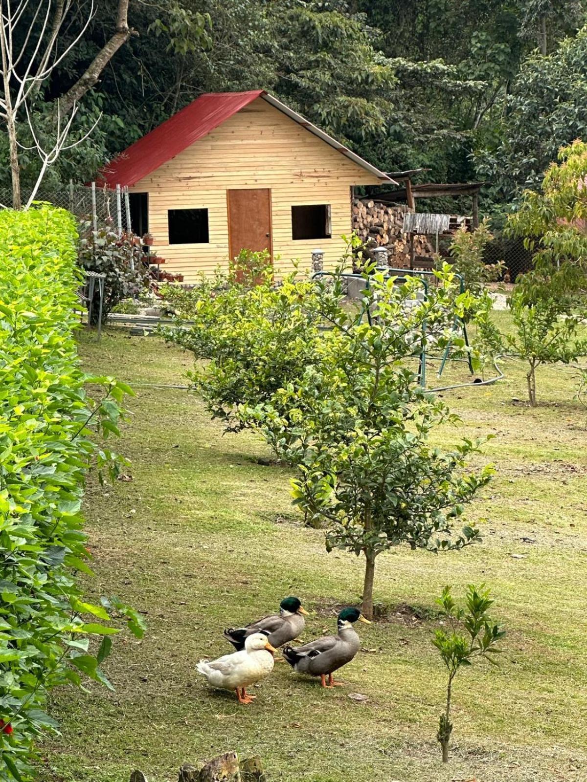 אוקסאפמפה Hassinger Ranch Cabanas מראה חיצוני תמונה