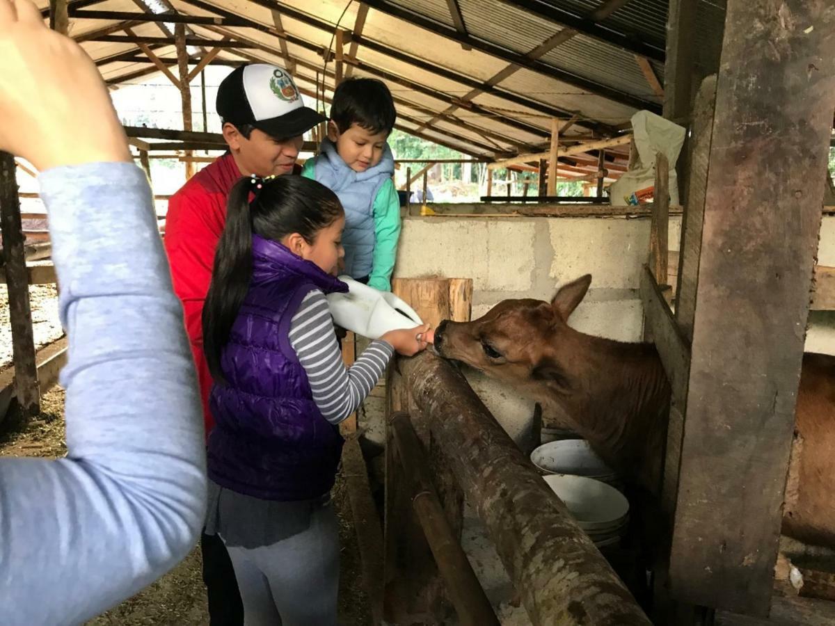 אוקסאפמפה Hassinger Ranch Cabanas מראה חיצוני תמונה